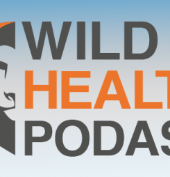 Listen to podcasts with Australia’s top digital health influencers