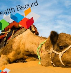 The ADHA needs a new camel