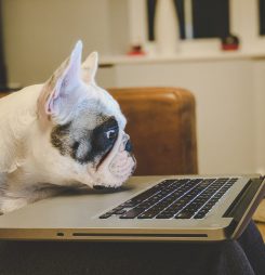 Where is video telehealth heading?