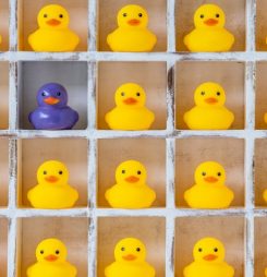Stigmatised groups least trusting of My Health Record